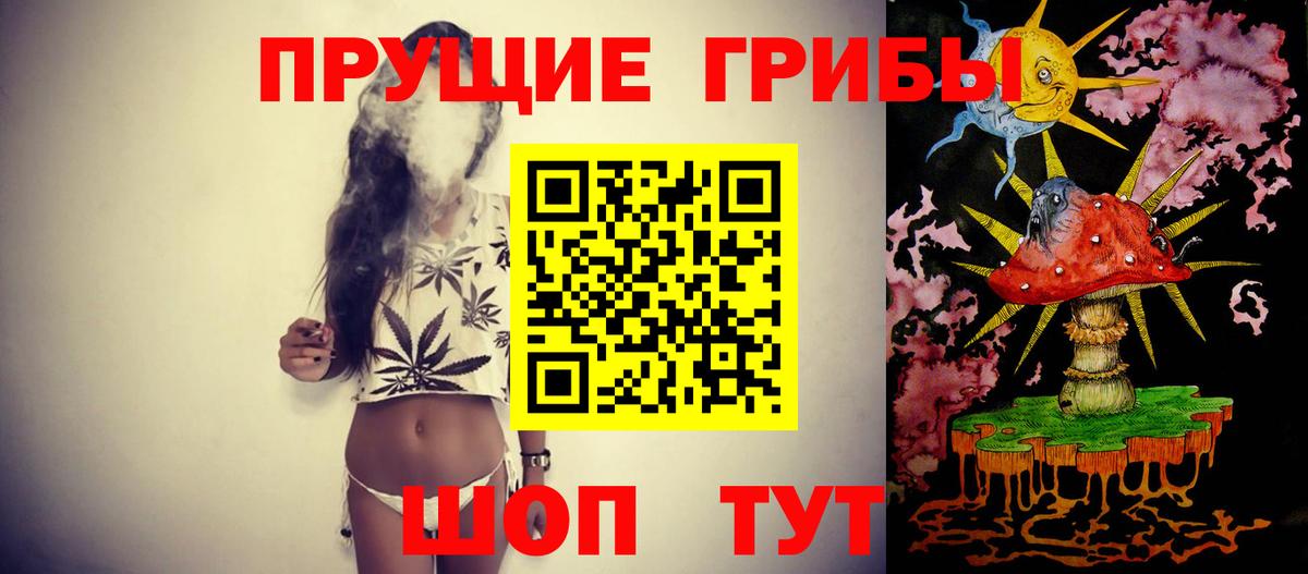 Псилоцибиновые грибы Magic Shrooms  Вход с VPN  Магадан  Псилоцибиновые грибы Psilocybe 
