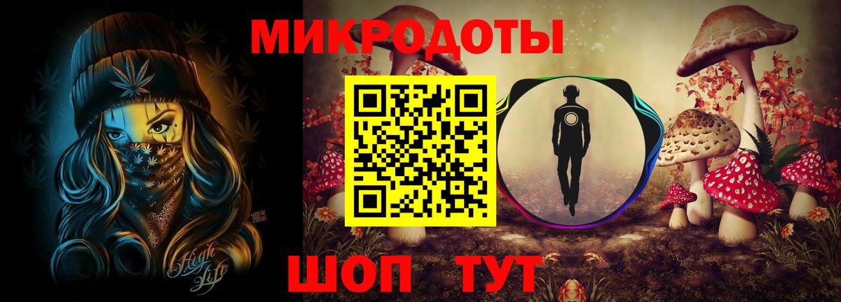 Псилоцибиновые грибы Cubensis Магадан